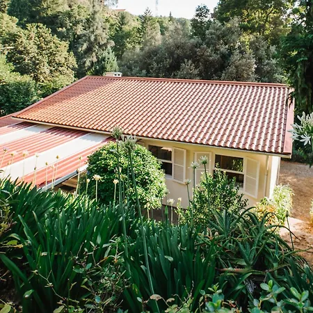 Quiet House By Quantique Tatil Evi *